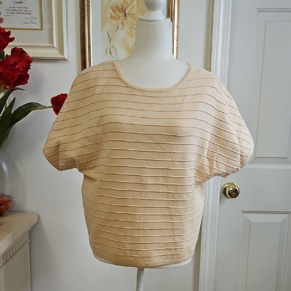 Tahari Soft Beige Striped Blouse